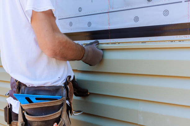 Affordable Vinyl Siding solutions in Ashland, IL